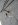 Brake Lines 002.jpg