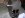 DSCN0838.JPG