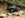 johns truck.jpg