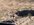 A8ECF579-0B2A-40C3-BD62-287084B16068.jpeg