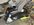 34D94217-ECA6-4D9D-BEB7-8C664AB91887.jpeg