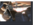 Capture.PNG
