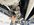 A672F6C2-3C61-4DB3-9276-A93CAE2AD2CE.jpeg