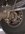 6CF311A8-54D3-452F-8DC4-A8A8B0EAEC9F.jpeg