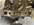 FEEFF595-44EA-49A9-B596-3EC800E0F3B4.jpeg