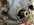 IMG_5762.JPEG