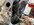 IMG_5763.JPEG