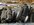 IMG_5779.JPEG