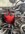 94AC04BC-3CA4-417D-BE74-B2BCC108FE38.jpeg