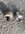 98216BD2-2AD0-47E5-9F20-3B4365E3A471.jpeg