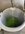 D12D3B49-2342-4CBB-8E30-EB92474BA1B2.jpeg