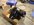 A9FB7C10-942C-4151-A6BA-F4DA75EE4688.jpeg
