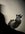 676937A8-A663-4201-B857-5EA2BFA8C3CD.jpeg