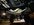 91C3396C-ED3D-4E2F-BE21-E5D75C01CAE3.jpeg