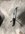 100D49BF-CD2A-4C40-9B7F-4F2DBE225C60.jpeg