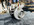71F6C262-E9D9-4D06-B75C-533675C9BC89.jpeg