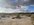 9046AA9B-59B7-42B6-9CA6-E033A0FB94D0.jpeg