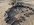 F24E475F-3CE0-4D51-928C-776F36742664.jpeg