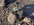 6B6B89CE-A3A4-48AA-ACE3-DB9A4BD162D1.jpeg