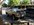 352-1.jpg