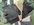 AE30FC2E-A5F8-4BE6-B13B-ECEEE848778A.jpeg