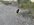 3387E273-C040-4410-9A92-EC11BBAB498F.jpeg