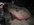 A786991C-A7C7-4929-8FAC-47FA20302F78.jpeg