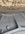 1646226860039.jpeg