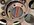 1646226950061.jpeg
