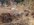 Resized_20220307_113642.jpeg