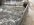 26C754CB-7521-4523-AC43-42DEACE6CC69.jpeg