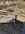 Resized_20220313_164059.jpeg