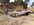 Resized_20220316_151030.jpeg