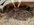 Resized_20220316_151048.jpeg