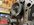 IMG_6205.jpeg
