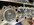 IMG_6206.jpeg
