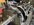 IMG_6184.jpeg