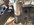 IMG_6219.jpeg