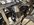 IMG_6217.jpeg