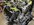 IMG_6339.jpeg IMG_6339.jpeg