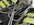 IMG_6340.jpeg IMG_6340.jpeg