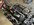 IMG_6356.jpeg IMG_6356.jpeg