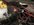 6DDA0816-9D2B-4EFE-877D-85E2670D63B8.jpeg