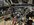 2B74E644-19CC-4D1C-ABFB-51A240E1C77B.jpeg