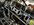 8F7876AD-8687-4636-A7F9-172B8132E36F.jpeg
