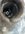 7FD6174C-9252-4E07-864A-95A202AC7841.jpeg