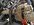 79242B8A-31DA-42BA-81FD-C34A8570FA01.jpeg