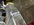E1CFA431-A1B3-42CE-A67C-0E3552ED59B3.jpeg
