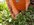 20220408_092428.jpg