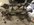 image1 (2).jpeg